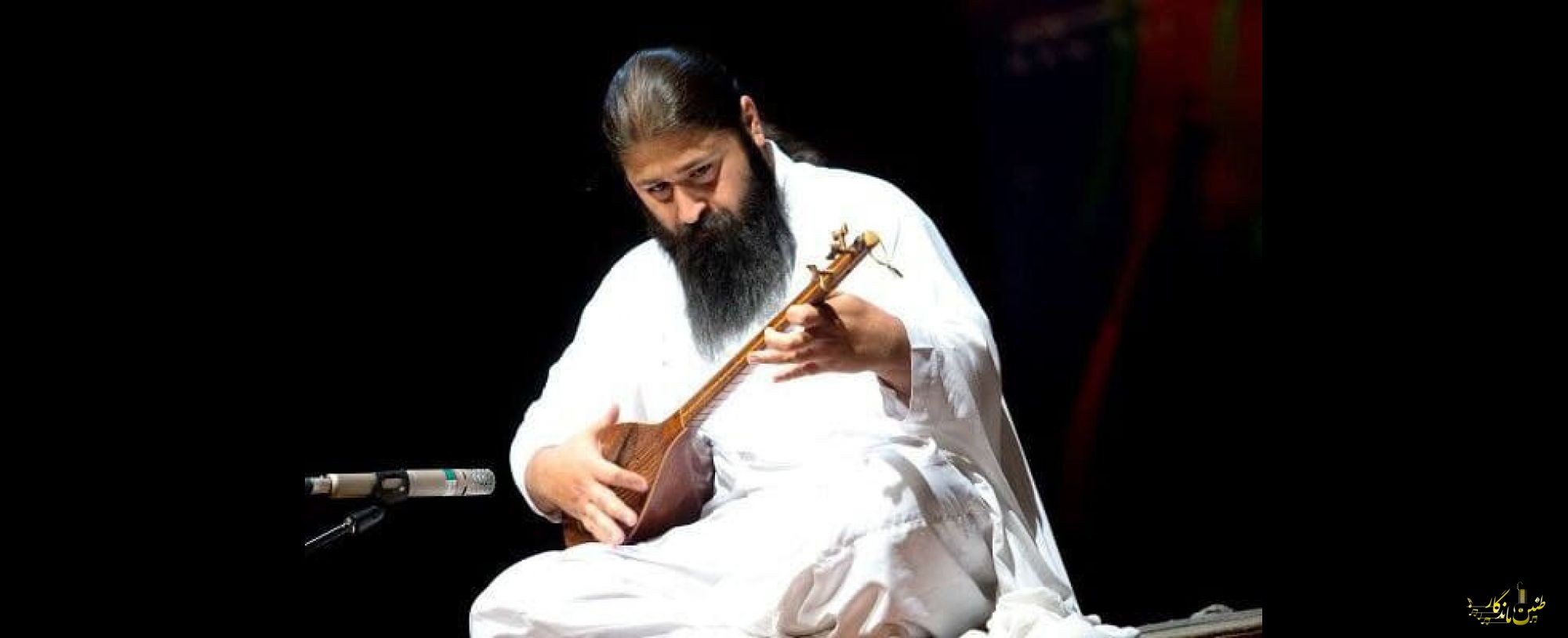 «ریتم مولانا» با مقدمه استاد ادبیات منتشر شد؛ توضیحات مولف