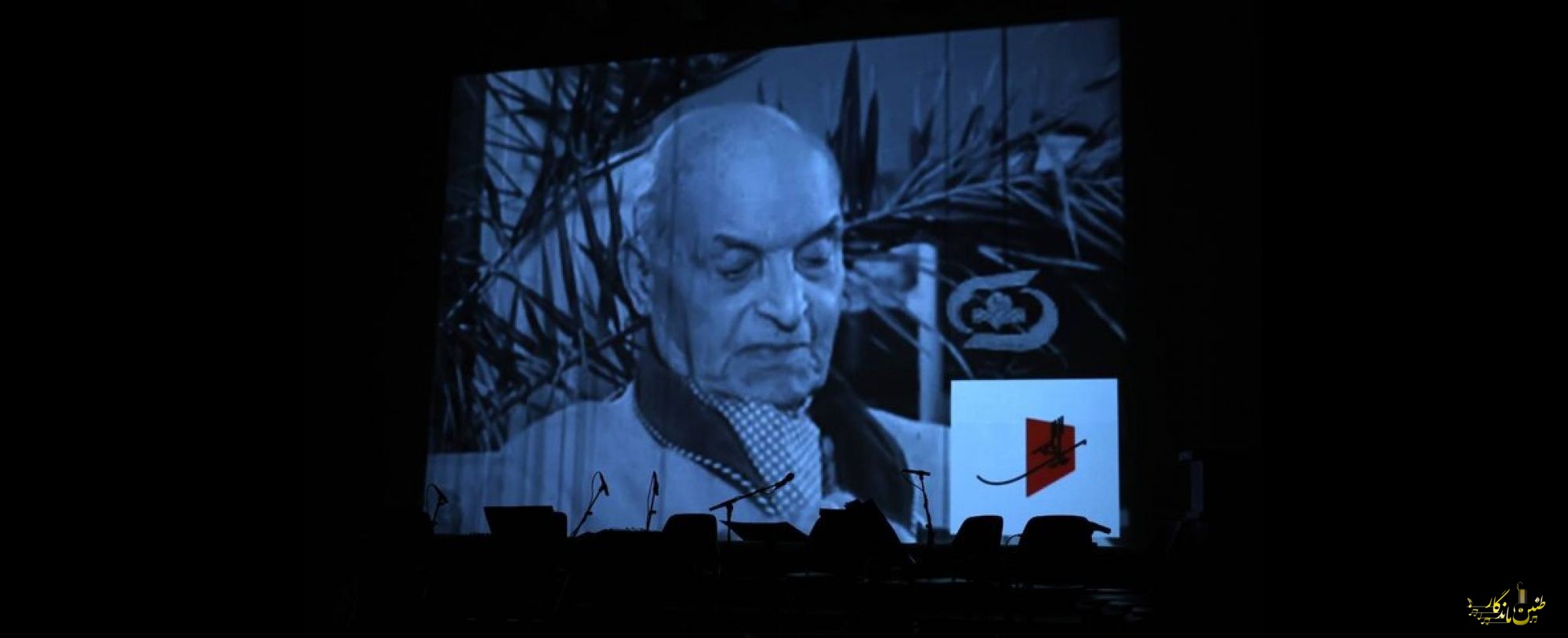 رونمایی از یک صدای گمشده در کنسرت؛ روایتی که فراموشی را پس زد!